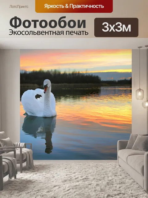 Фотообои Лебедь