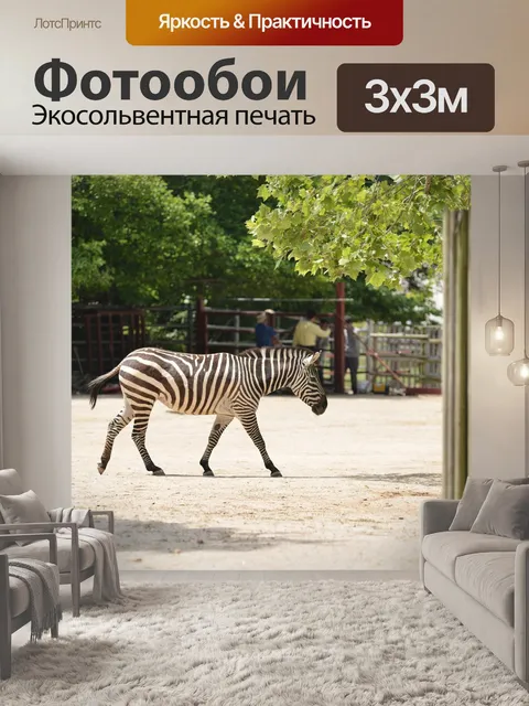 Фотообои Зебра