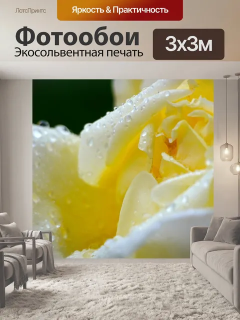 Фотообои Роза