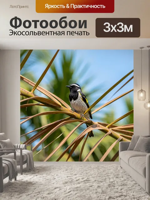 Фотообои Птица на пальме