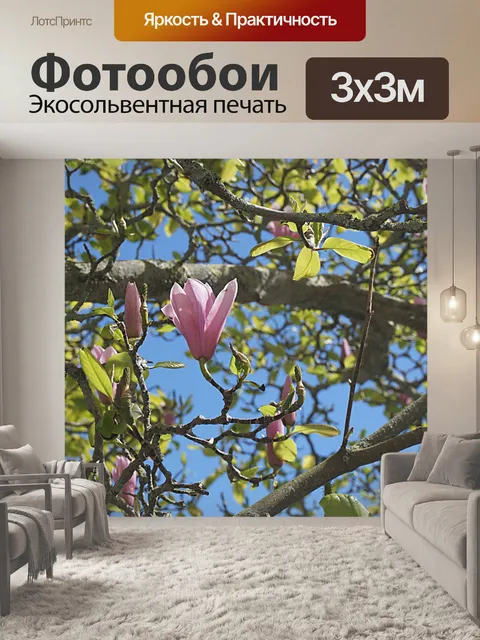 Фотообои Цветущие магнолии
