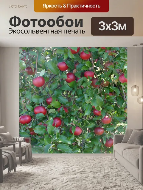 Фотообои Яблоки Любой?