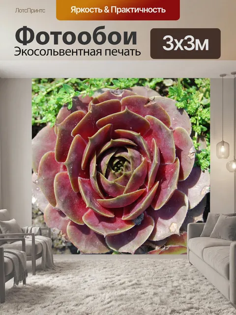 Фотообои Цветок