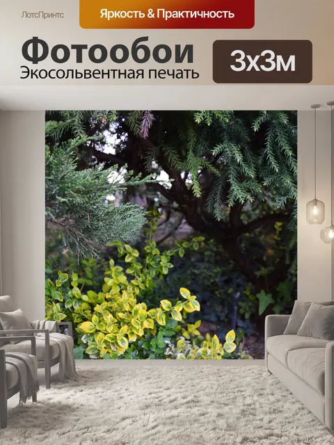 Фотообои Сад