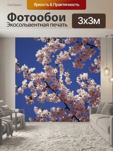 Фотообои Розовые цветы