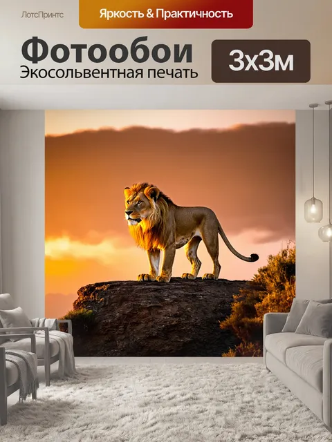 Фотообои лев, стоящий на скале во время заката