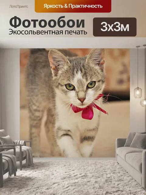 Фотообои Кот