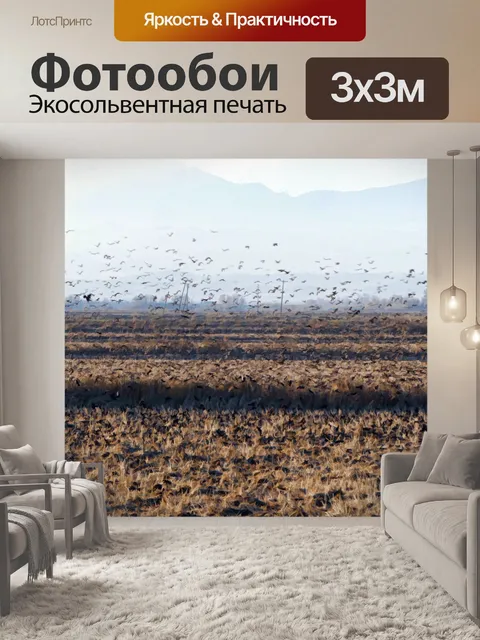 Фотообои Стая летающих птиц