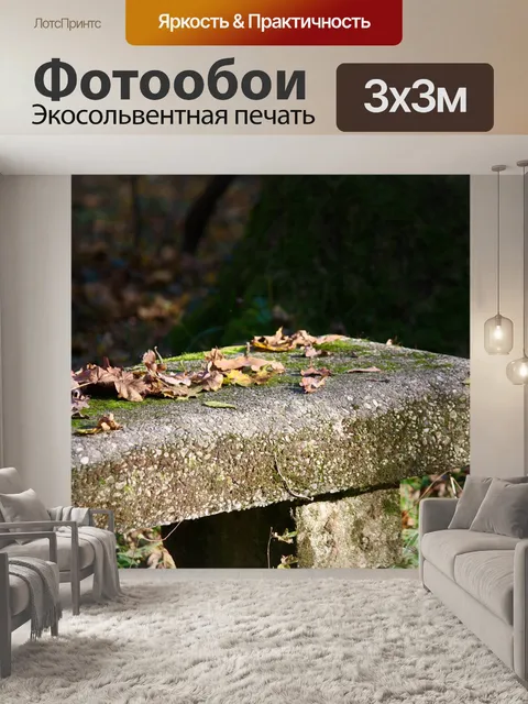 Фотообои Скамейка