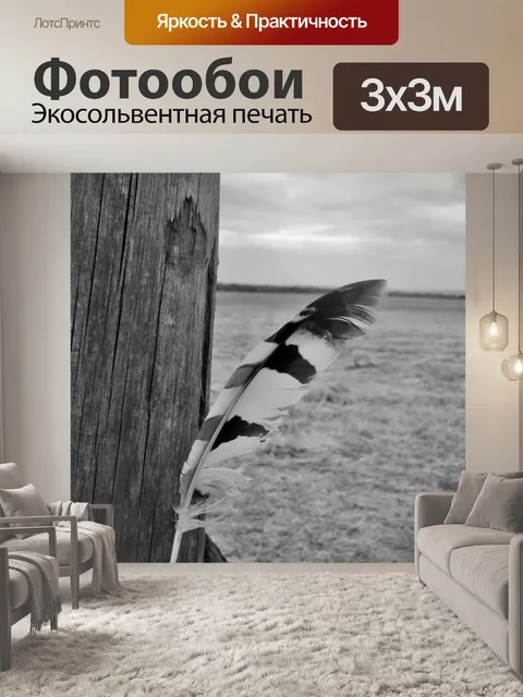 Фотообои перо в черно-белом