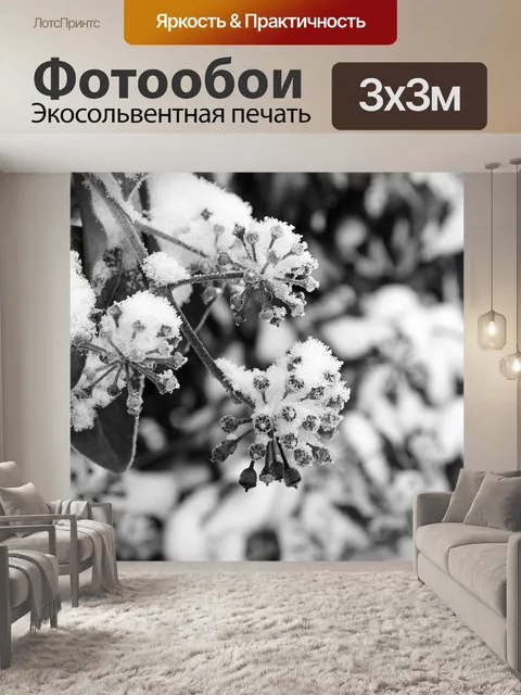 Фотообои Снег и филиалов
