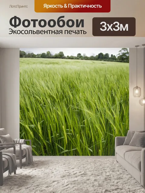 Фотообои Поле зеленого ячменя