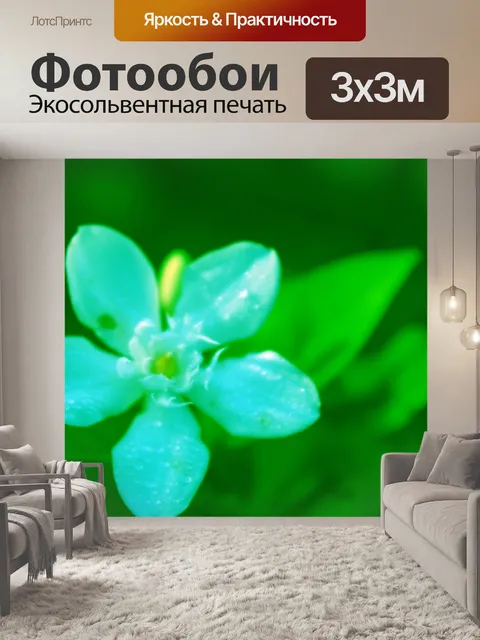 Фотообои Зеленый фон цветок