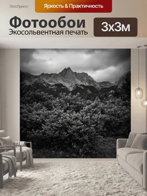 Фотообои черно-белый с изображением далеких горных вершин