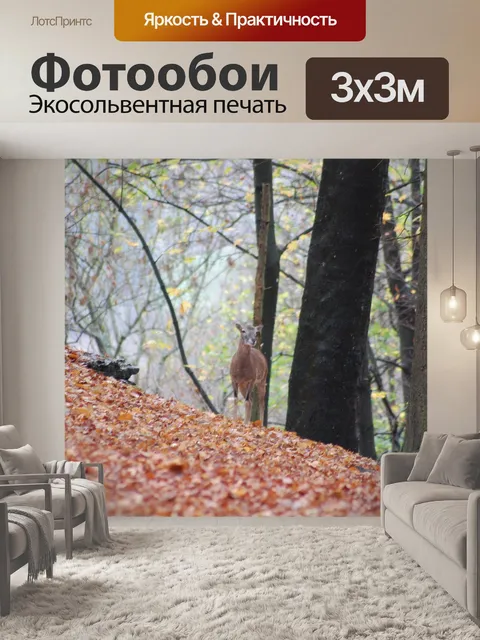 Фотообои Олень