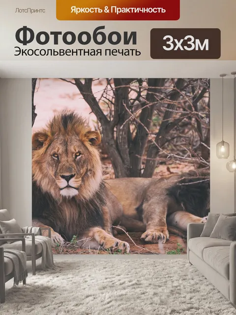 Фотообои Лев