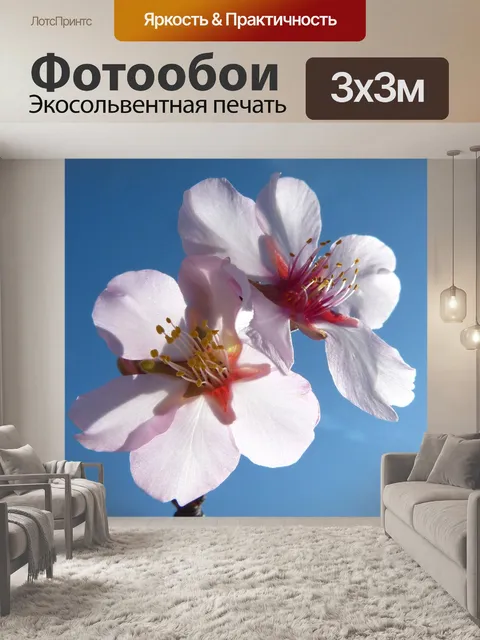 Фотообои Миндальное дерево