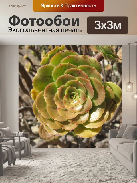 Фотообои Мальта