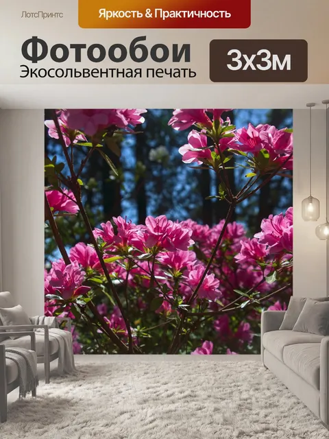 Фотообои Розовая азалия в озаркс