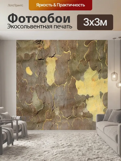 Фотообои Платан