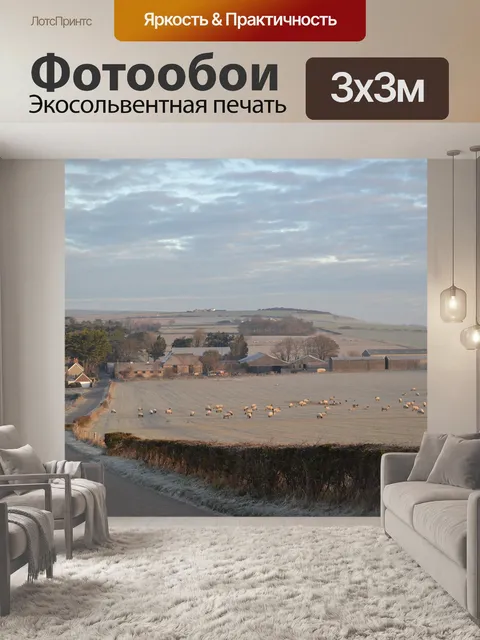 Фотообои Морозное утро