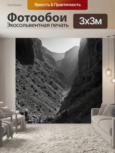 Фотообои черно-белый с изображением каньона с высокими стенами