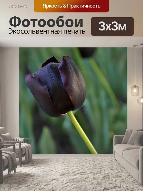 Фотообои Цветы