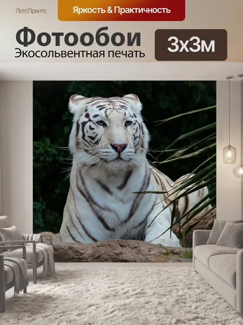 Фотообои Белый бенгальский тигр