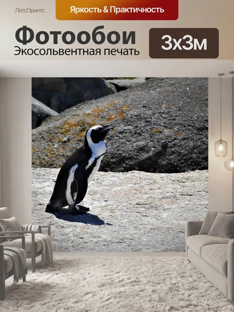 Фотообои Пингвин