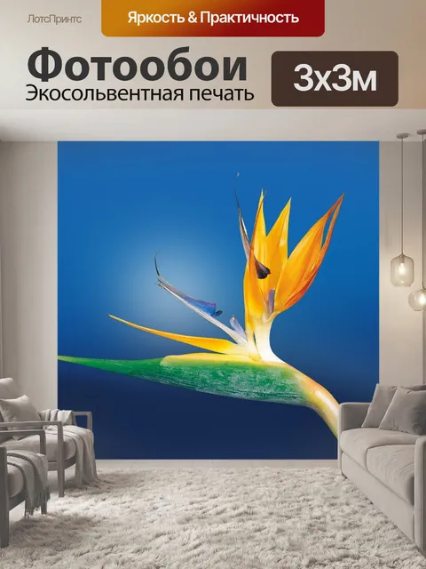 Фотообои Райская птица цветок