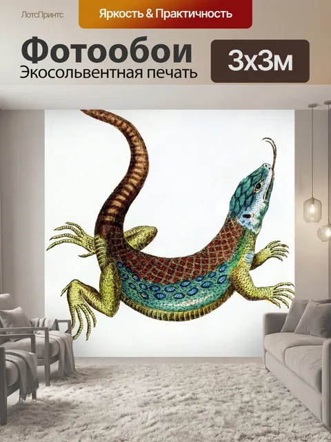 Фотообои Ящерица Винтаж Плакат