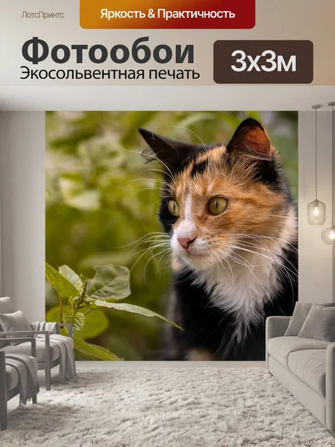 Фотообои Кошка