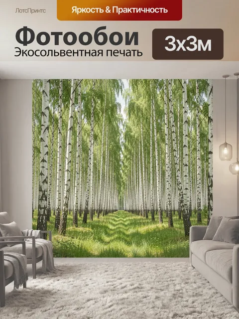 Фотообои Березовая аллея в летнем лесу