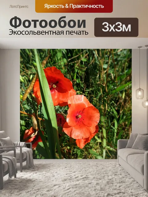 Фотообои Маки