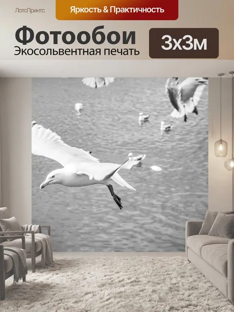 Фотообои Чайки в море