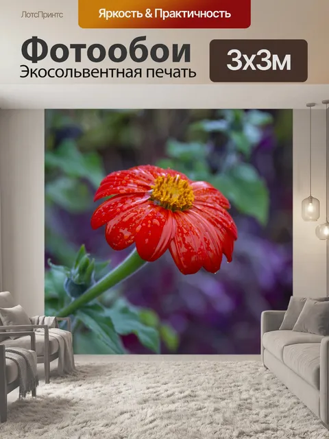 Фотообои Пропитанный дождем красный цветок