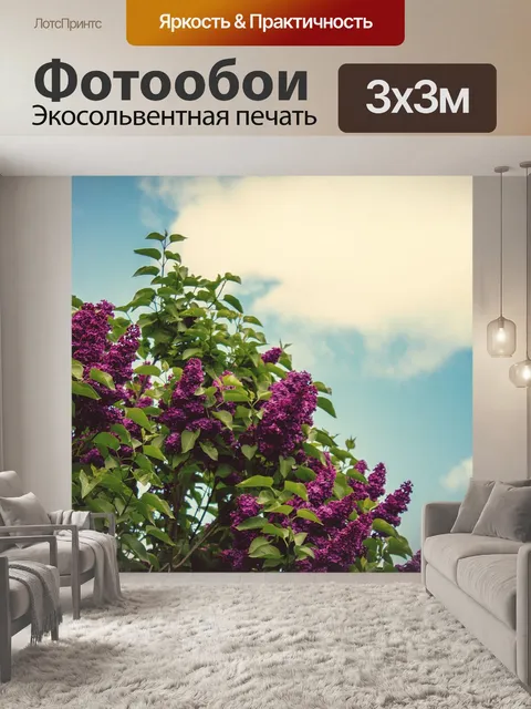 Фотообои Фиолетовый