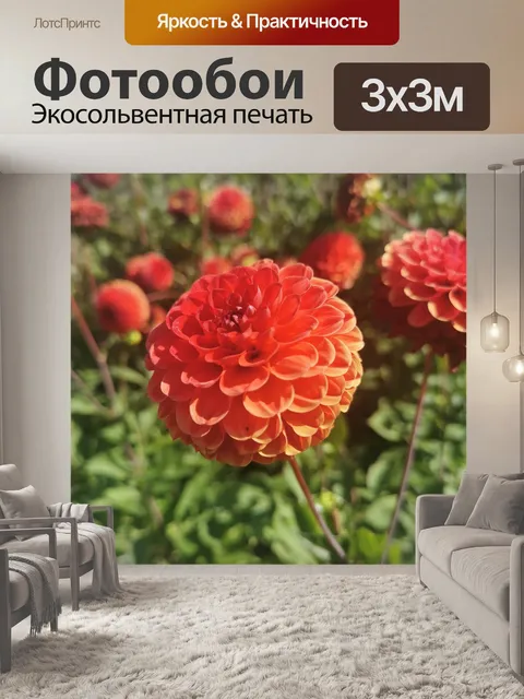 Фотообои Георгин