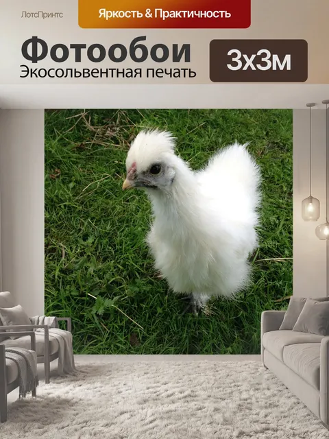 Фотообои Seidenhuhn