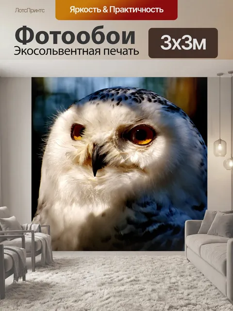 Фотообои Снежная сова bubo scandiacus