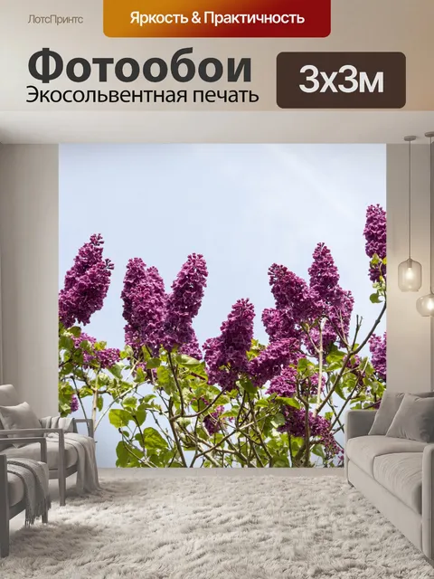 Фотообои Цветы и голубое небо
