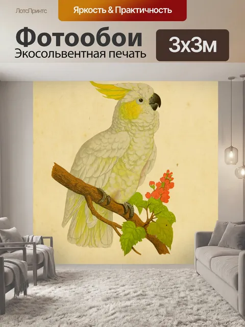 Фотообои Винтажный художественный принт какаду