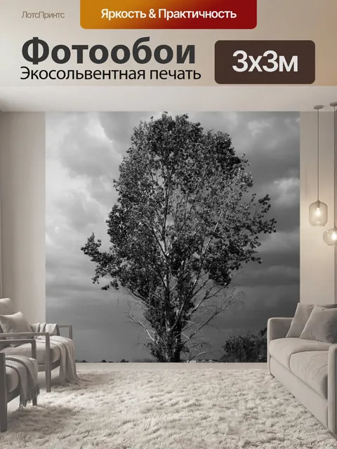 Фотообои дерево и облака в черный и белый