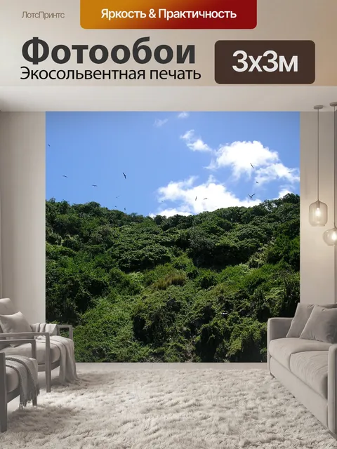 Фотообои Птицы