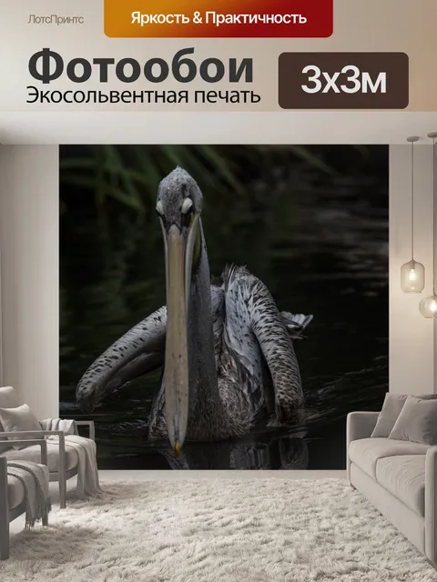 Фотообои Пеликан в воде