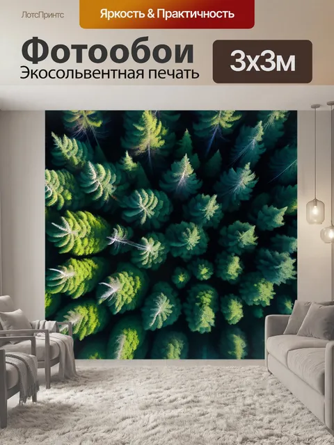 Фотообои фотография с высоты птичьего полета над лесом