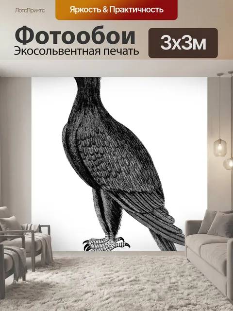 Фотообои Горный орел