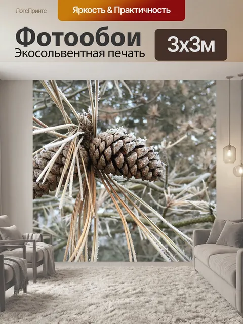 Фотообои Мороз