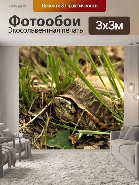 Фотообои Изысканная коробка черепахи в траве