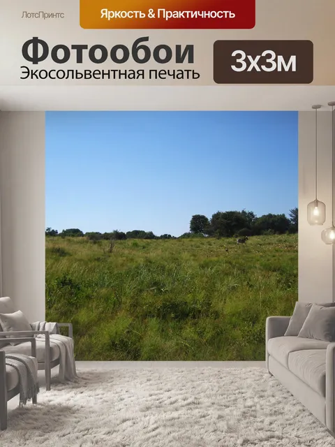 Фотообои зебра burchell на зеленом пейзаже